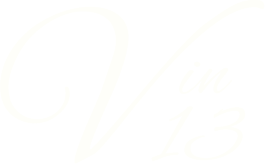 VIN 13